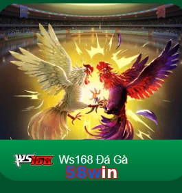 58win